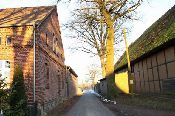 Ferienwohnung Buchholz Buchholz  Bagian luar foto